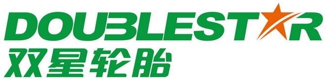 The logo of the brand Doublestar